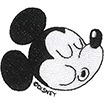MICKEYII2202